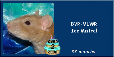 BVR-MLWR Ice Mistral