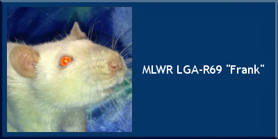 MLWR LGA-R69 