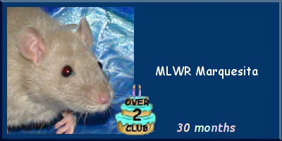 MLWR Marquesita