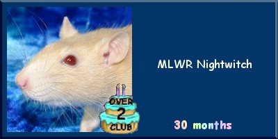 MLWR Nightwitch