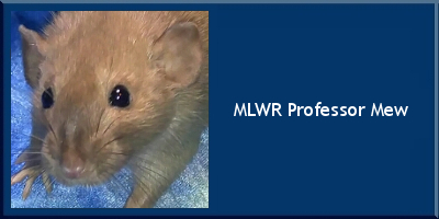 MLWR Professor Mew