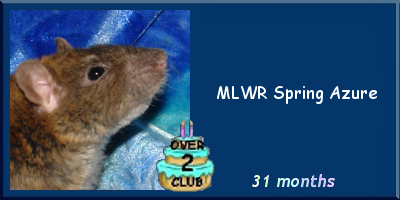 MLWR Spring Azure