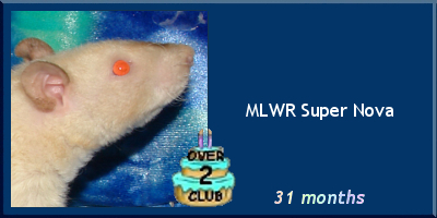 MLWR Super Nova